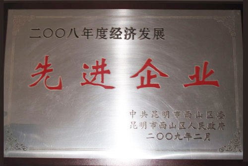 2008年度經(jīng)濟發(fā)展先進(jìn)企業(yè)